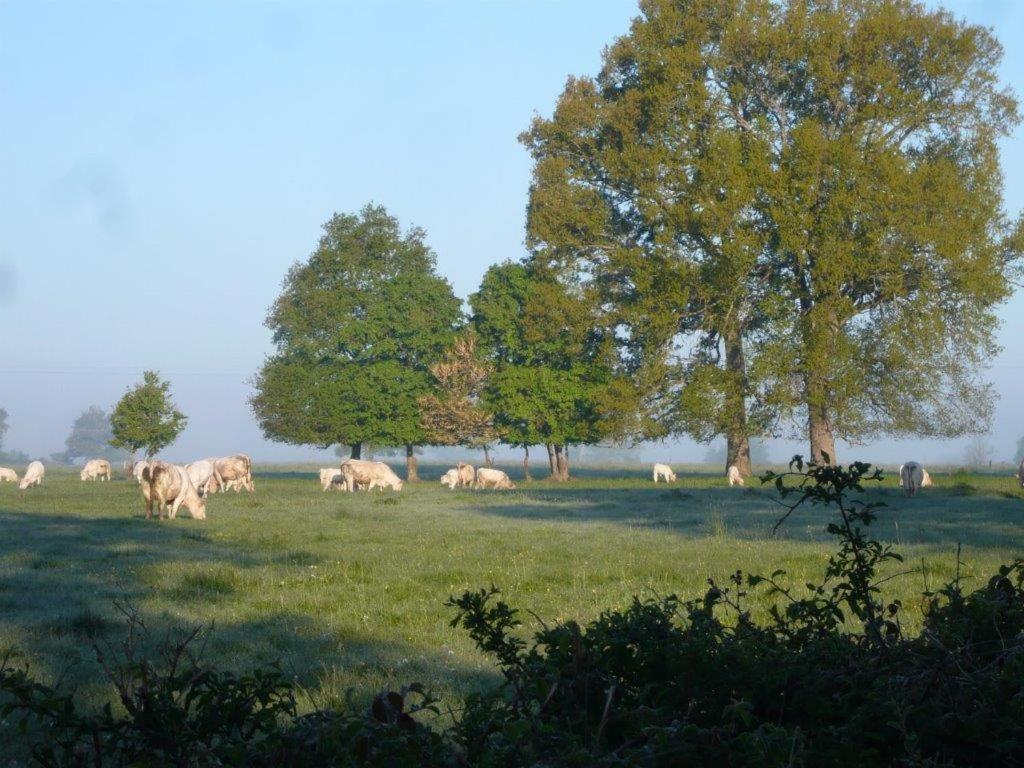 La Thibaude - Livry Bed & Breakfast Livry  Exterior foto